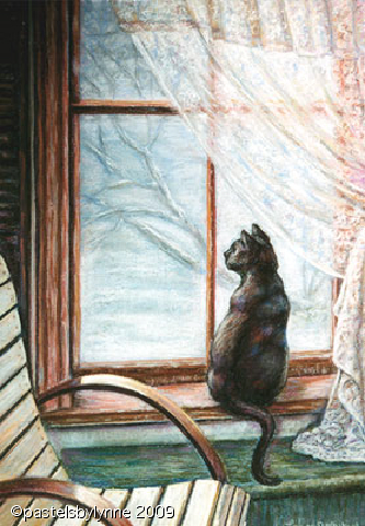 cat-in-window.jpg