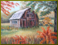 barn-with-ferns.jpg